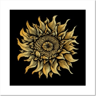 real sunflower Posters and Art